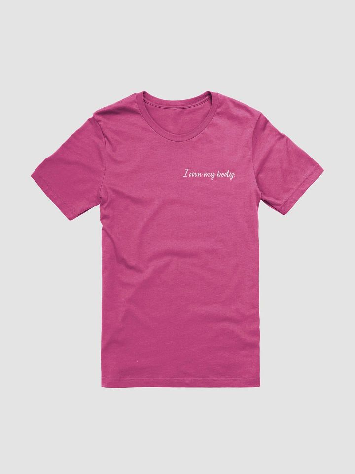 I own my body Tee product image (1)