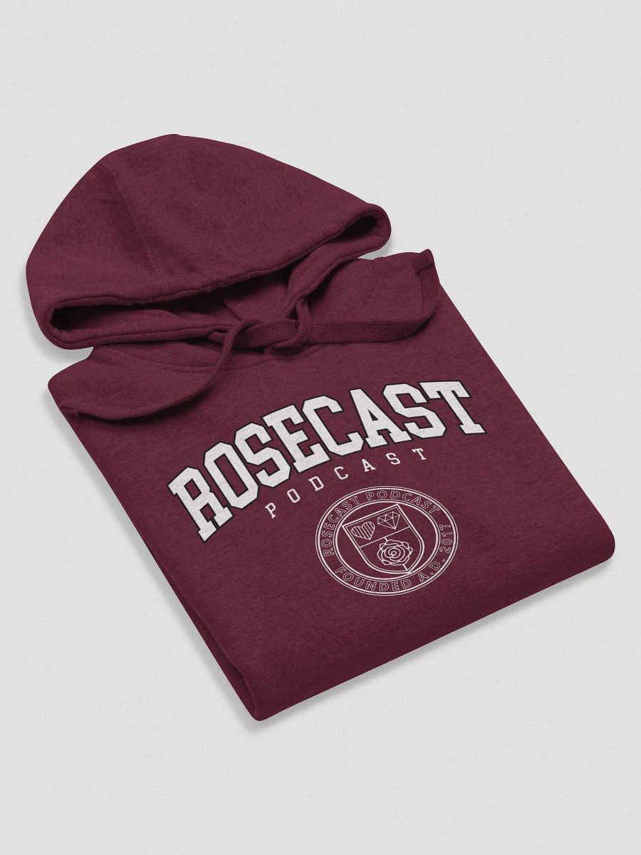 Fancy College Hoodie (Premium) product image (6)