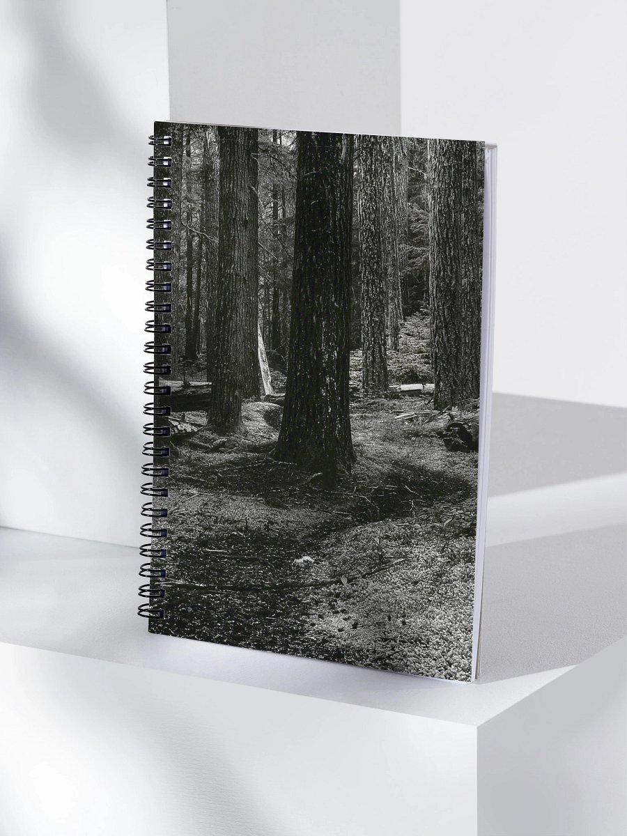 Hiking in the Buckhorn Wilderness Spiral Notebook product image (4)