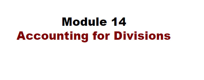 Study notes on Accounting for Divisions product image (1)