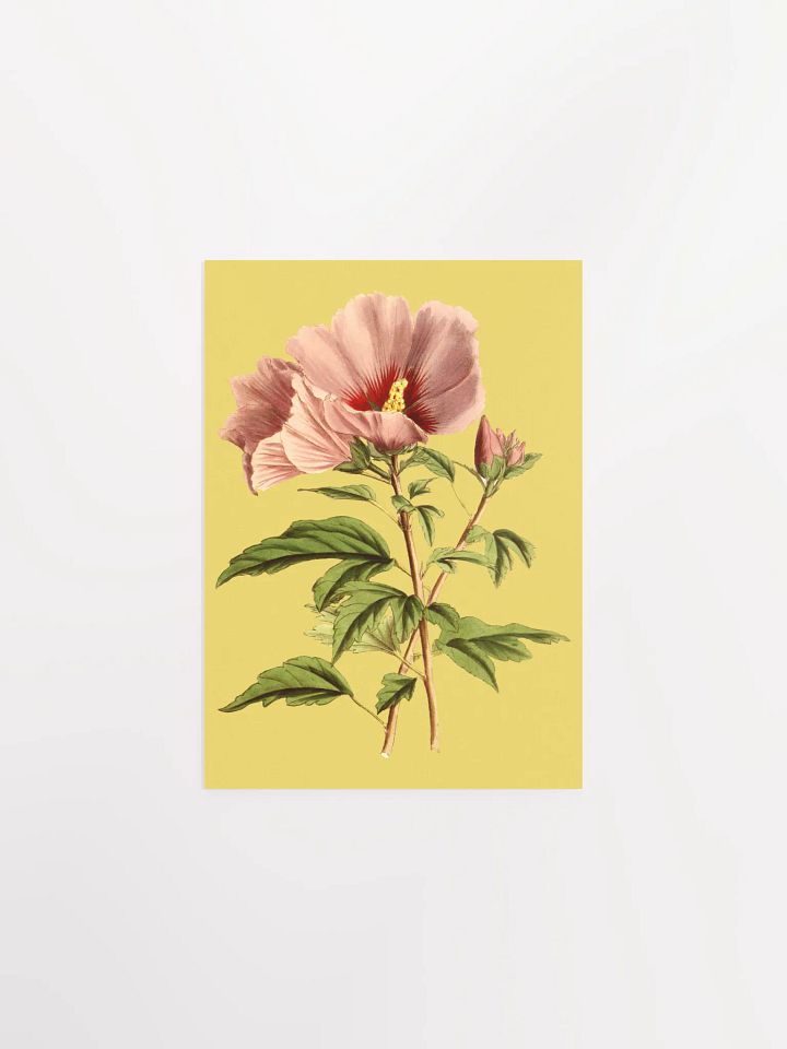 Pink Blossom Poster Print product image (1)