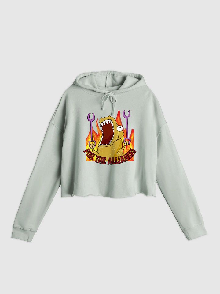 Alliance Crop Hoodie product image (1)