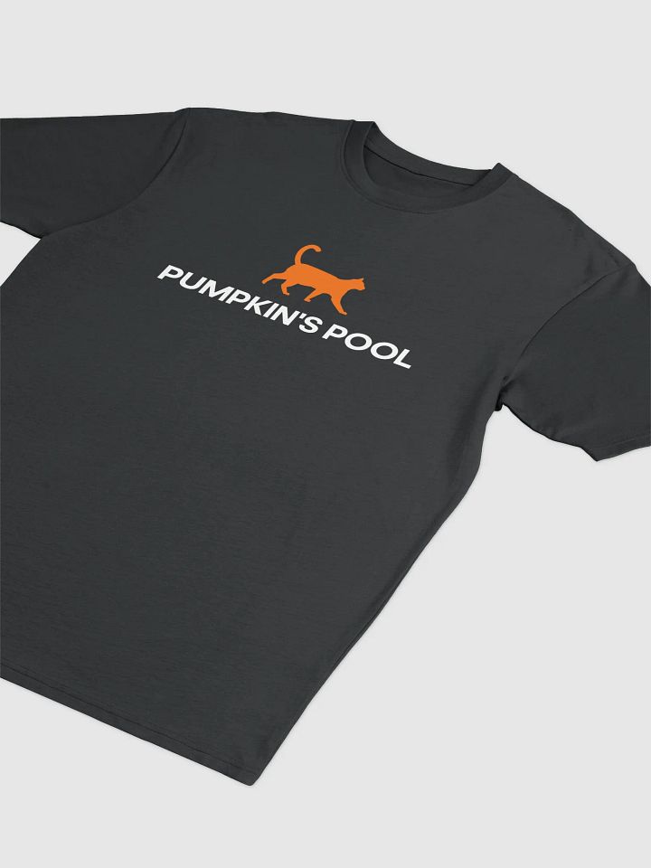 Pumpkin's Premium Heavyweight Tee product image (2)