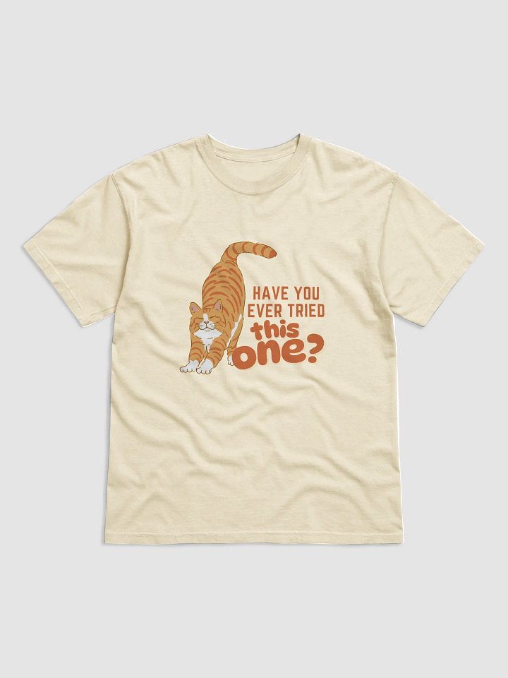 Have You Ever Tried This One? T-Shirt product image (25)