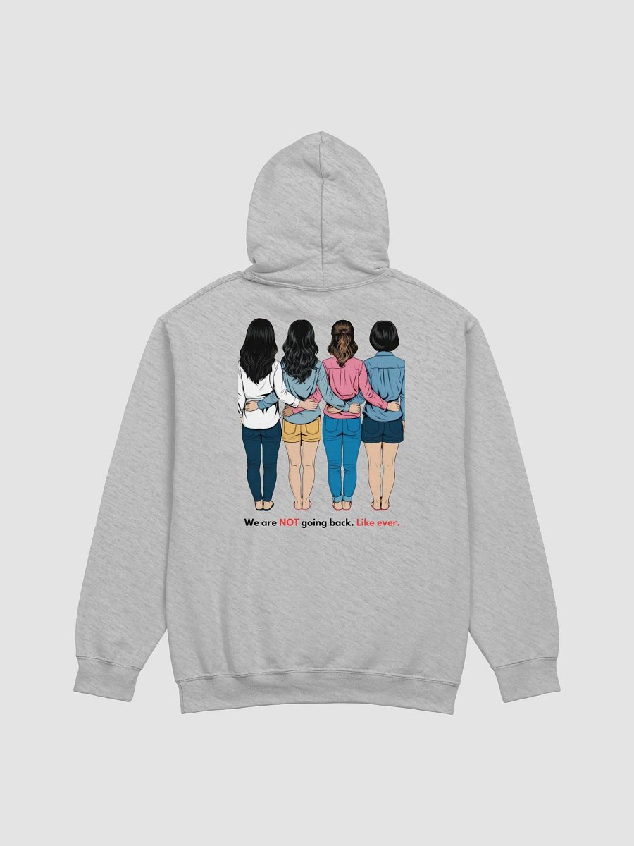 AA Women Not Going Back Sweater in Grey product image (3)