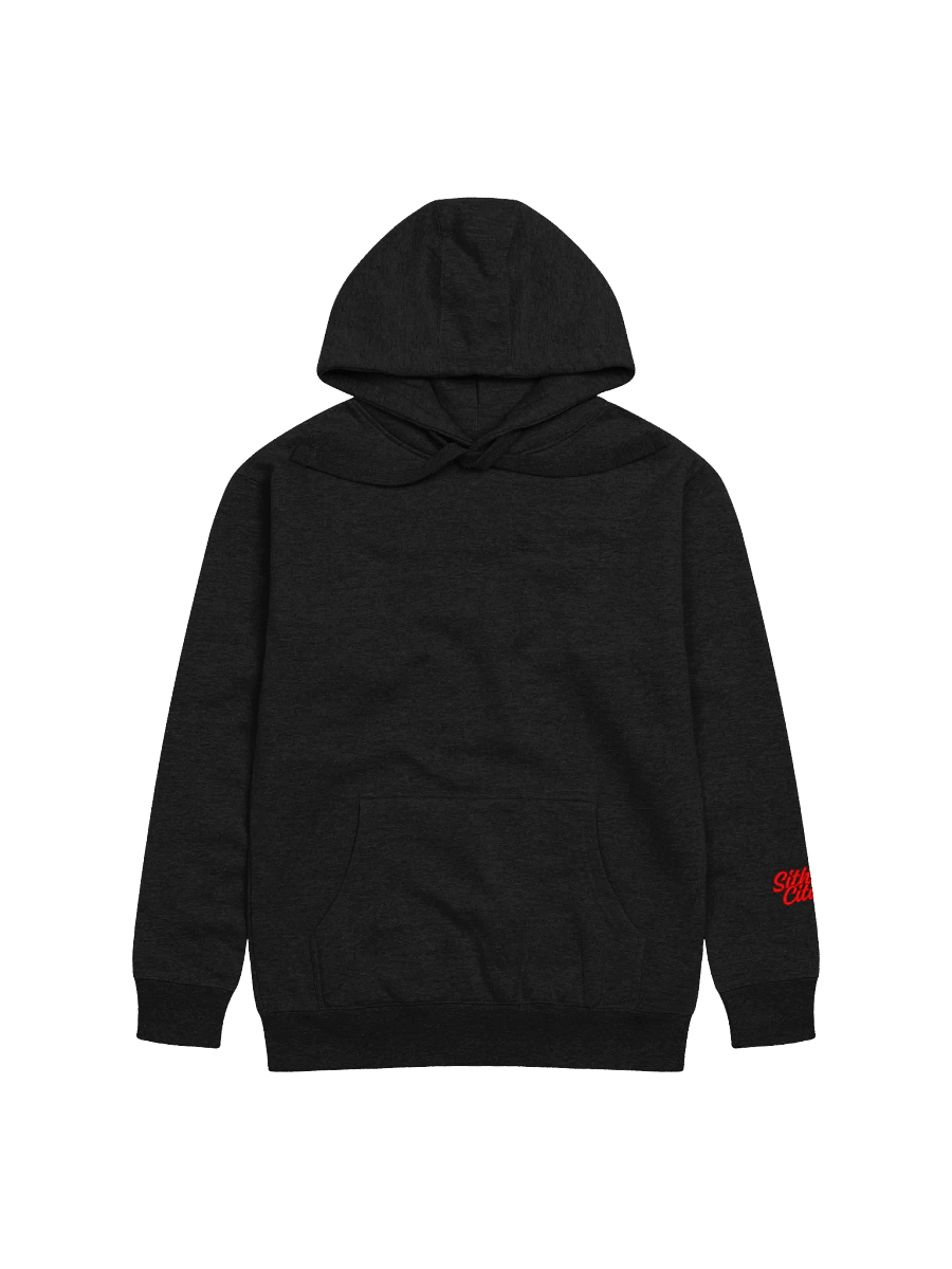 Council of Shadows Unisex Premium Hoodie product image (1)