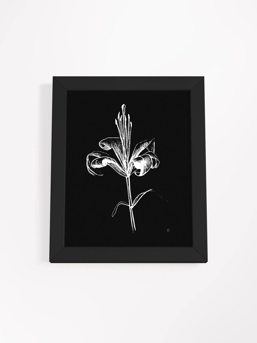 Lily Bloom Monochrome Framed Poster - Fine Flower Dark product image (5)