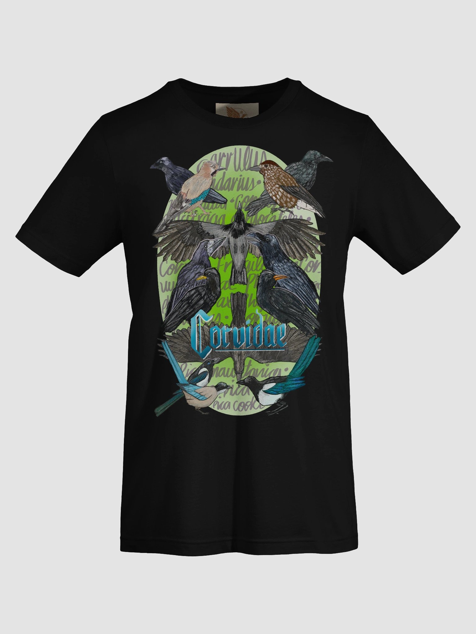 Cuervos de España (Corvidae) product image (7)