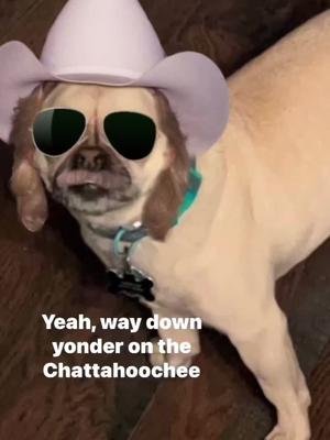 Crash has gone country 