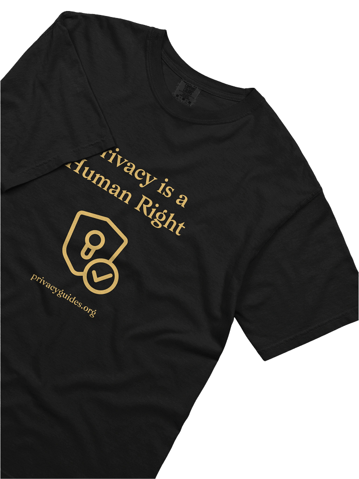 Privacy is a Human Right - Heavyweight T-Shirt (Comfort Colors) product image (2)