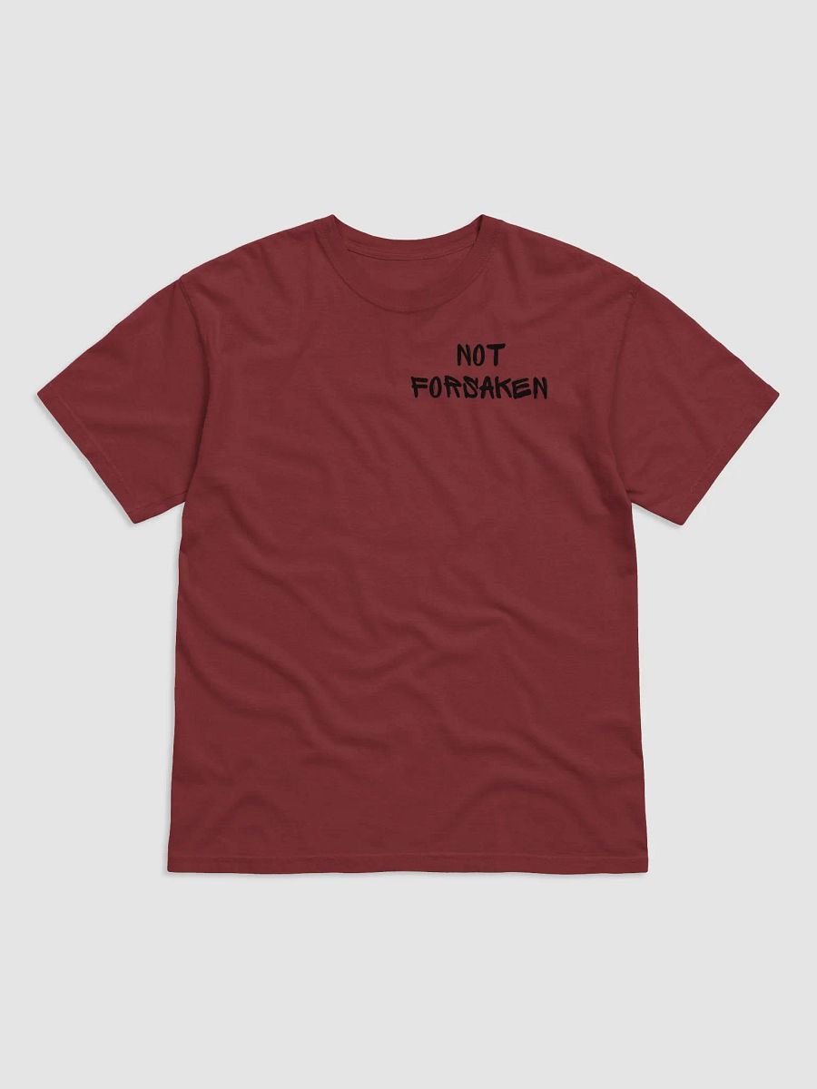 Deuteronomy 31:6 product image (26)