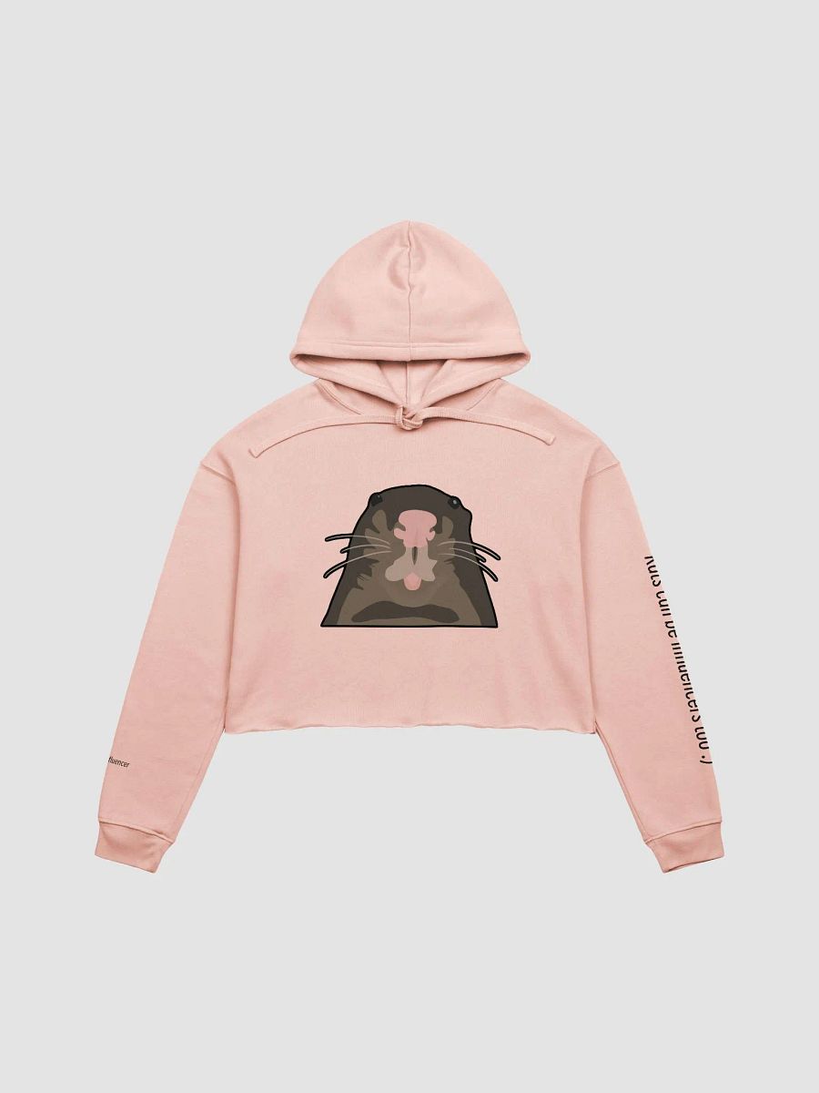 Rats can be influencers too :) Cropped Hoodie product image (1)