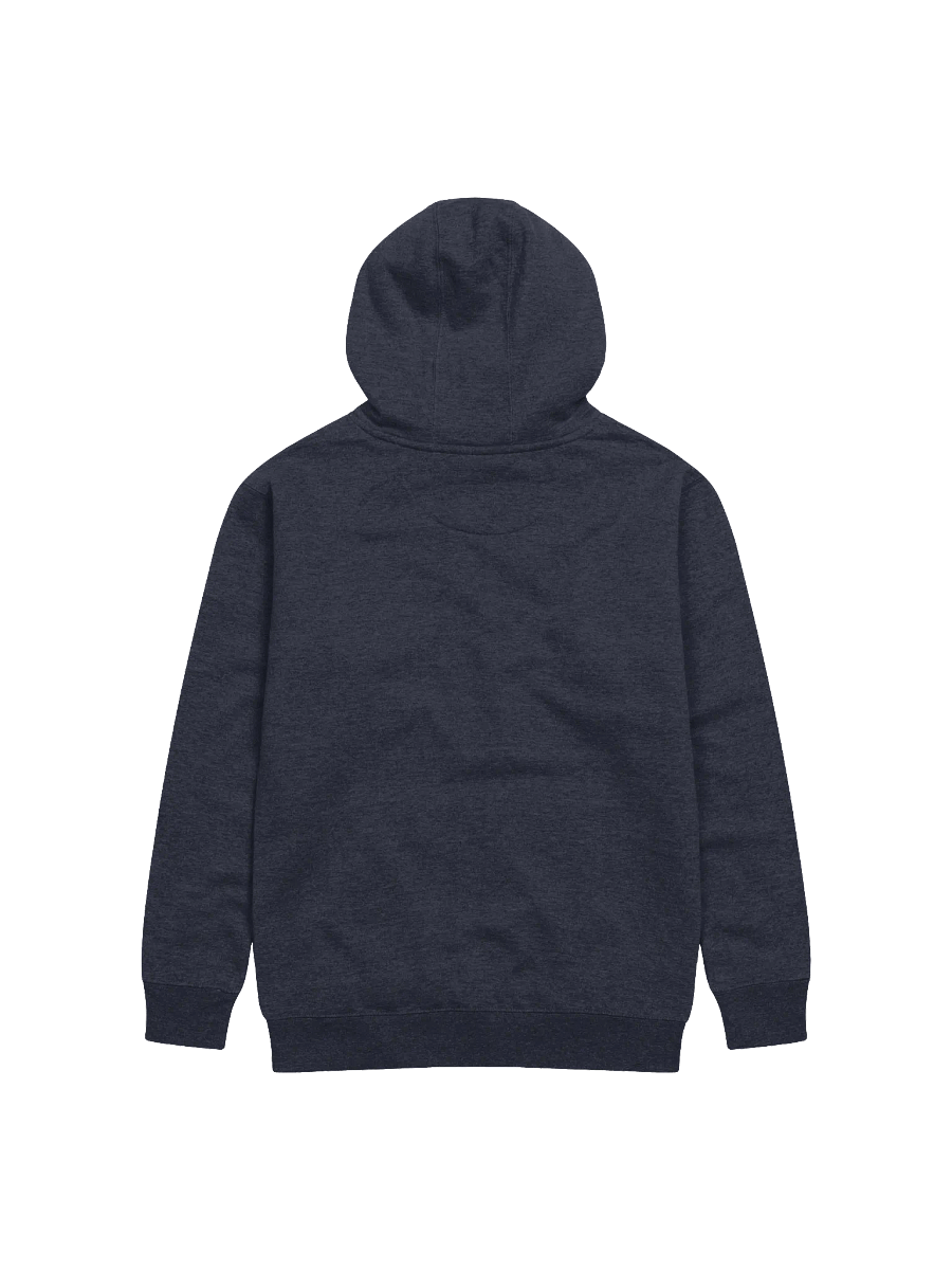 Fail University Hoodie (Embroidered) product image (3)