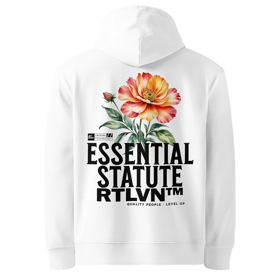 "The Essential" Hoodie: Love. Defined. Worn. ❤️✨ product image (14)