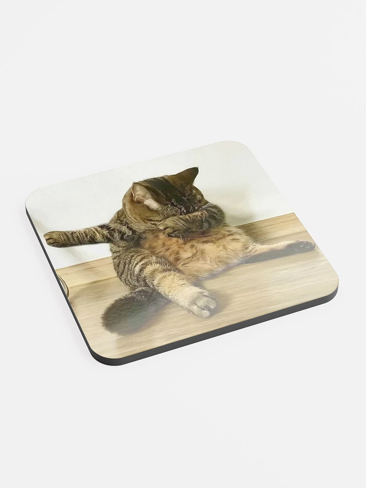 Glossed Cork Coaster: Meme Cats product image (2)