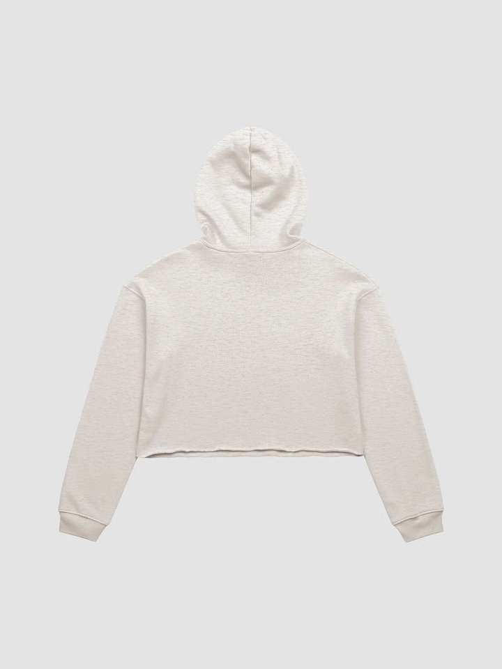 It's Just a Phase Cropped Hoodie product image (6)