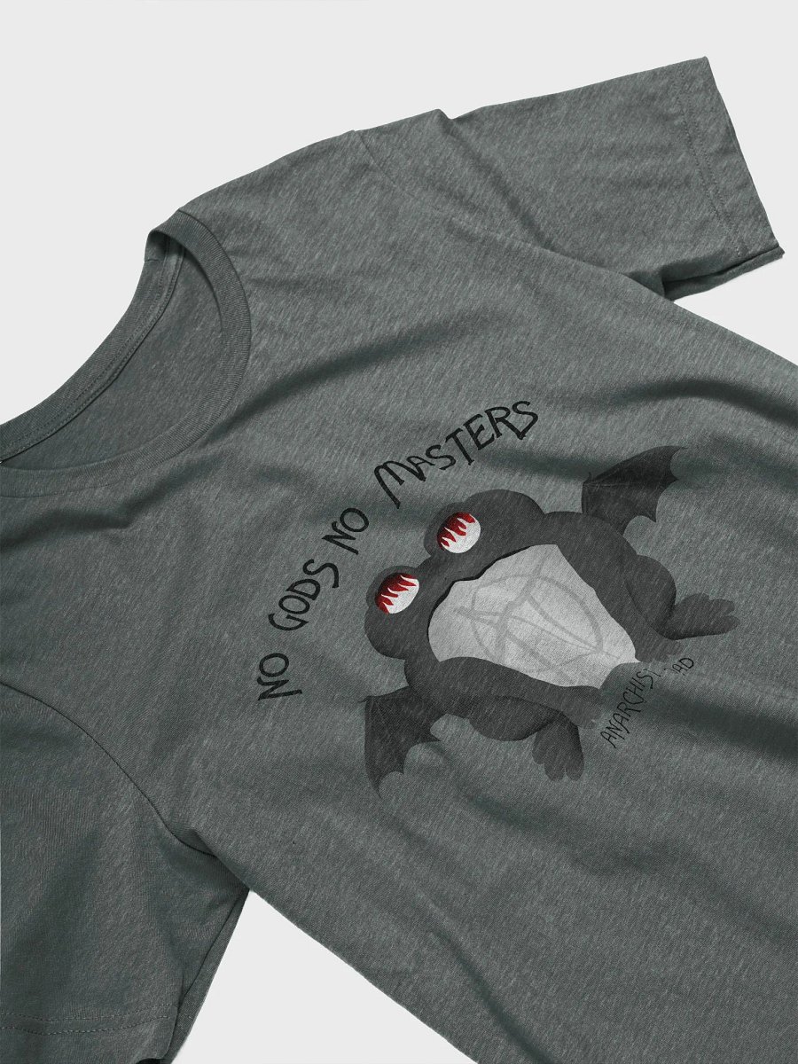 No Gods No Masters T-Shirt product image (9)