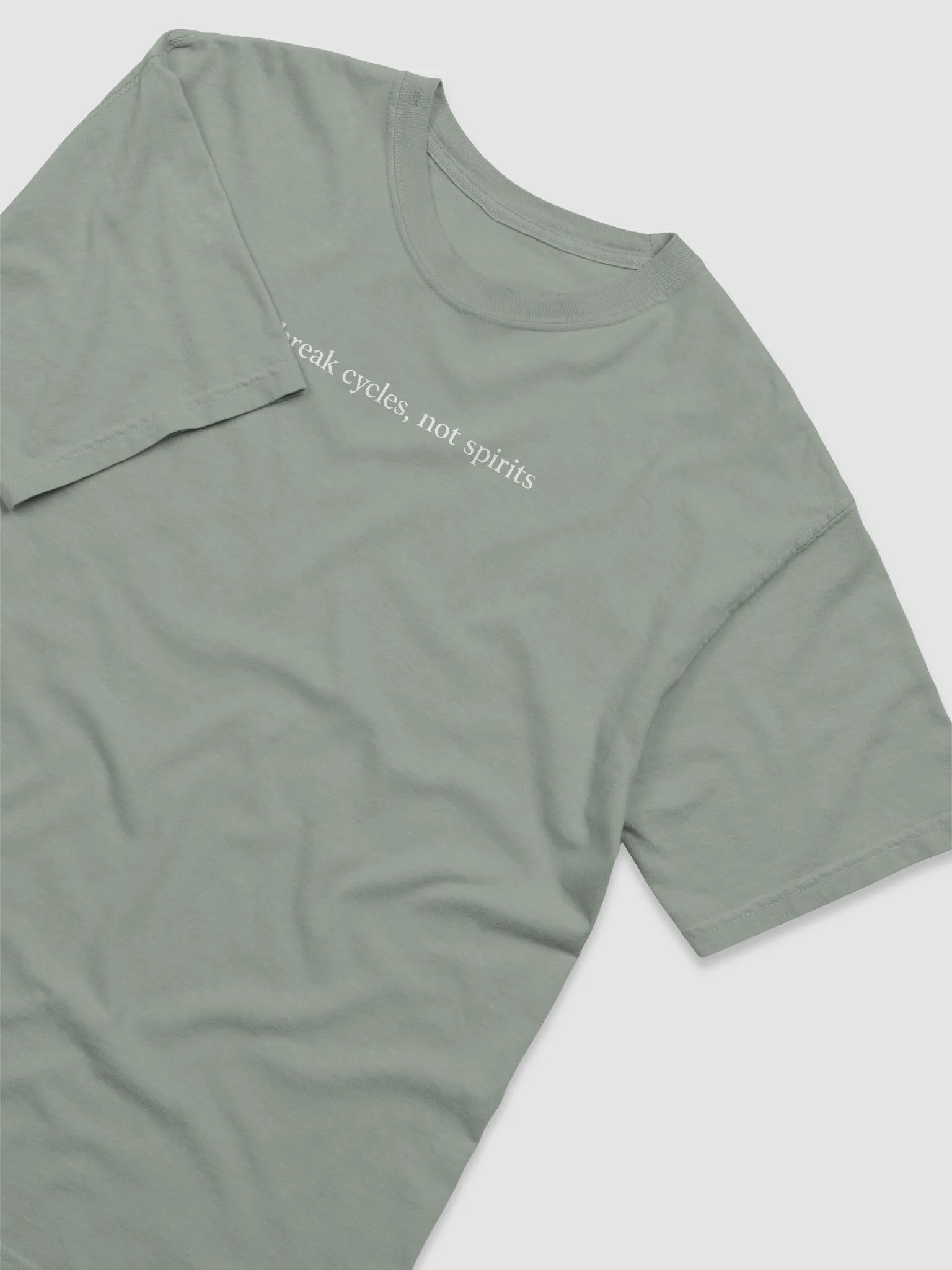 Break Cycles Not Spirits Tee product image (8)