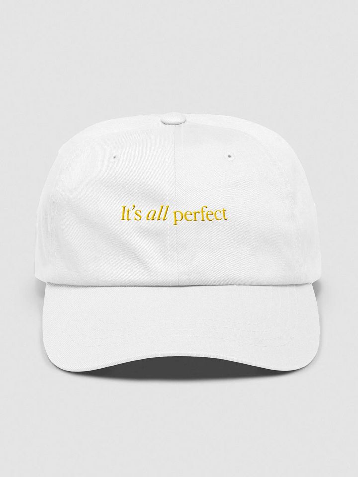 It's All Perfect Hat product image (2)