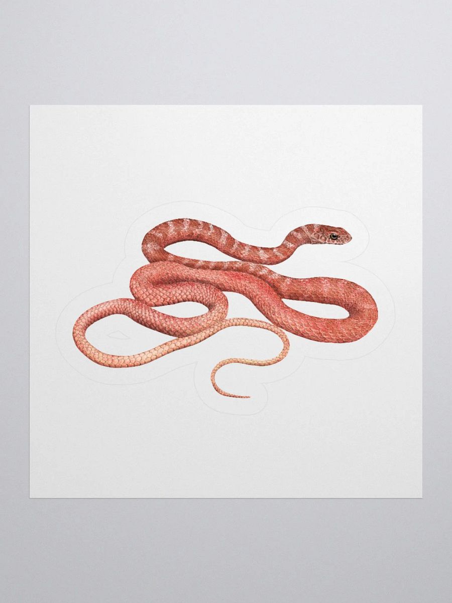 Die-Cut Sticker – Red Racer product image (1)