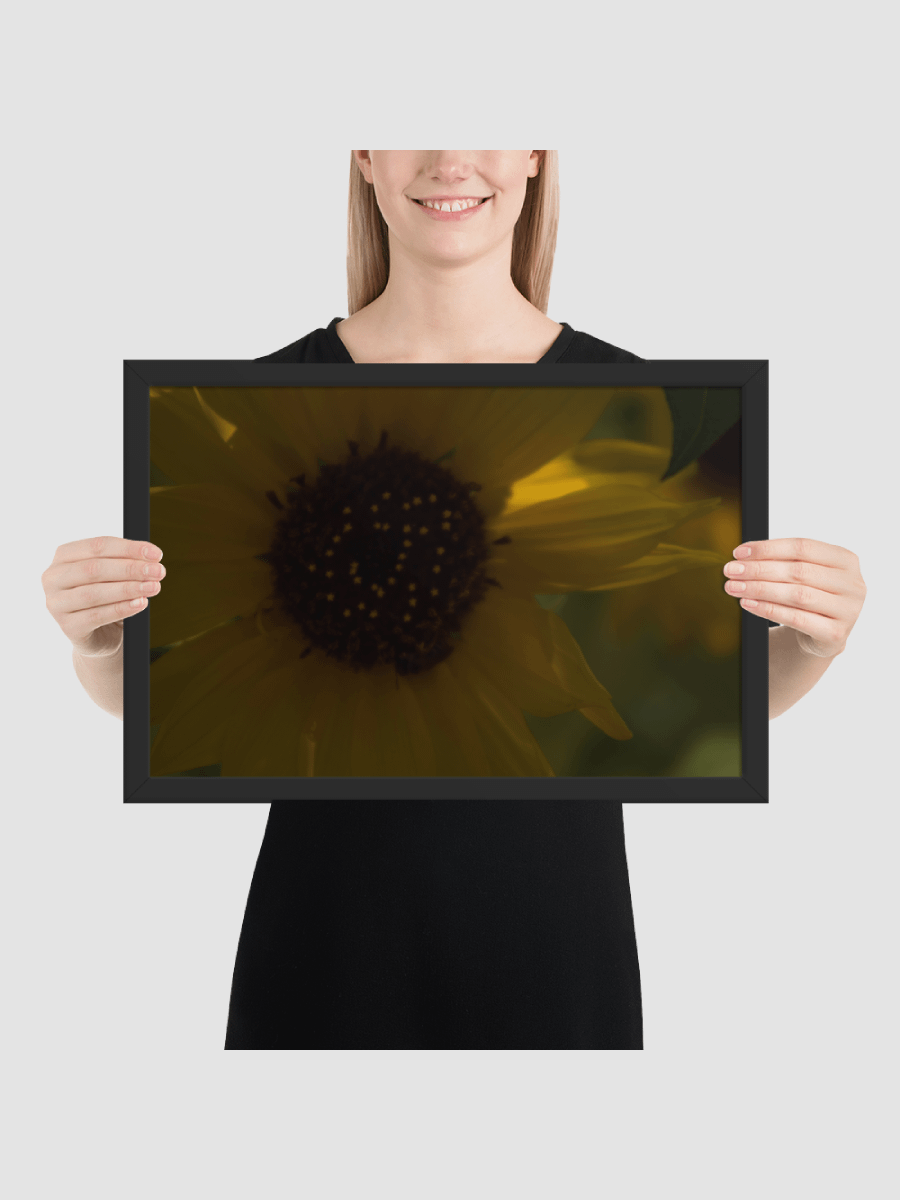 Sun flower Framed photography Poster product image (2)
