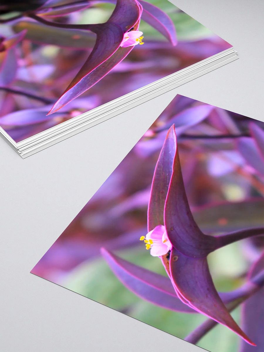 A Study in Flowers 9 - sticker version product image (11)