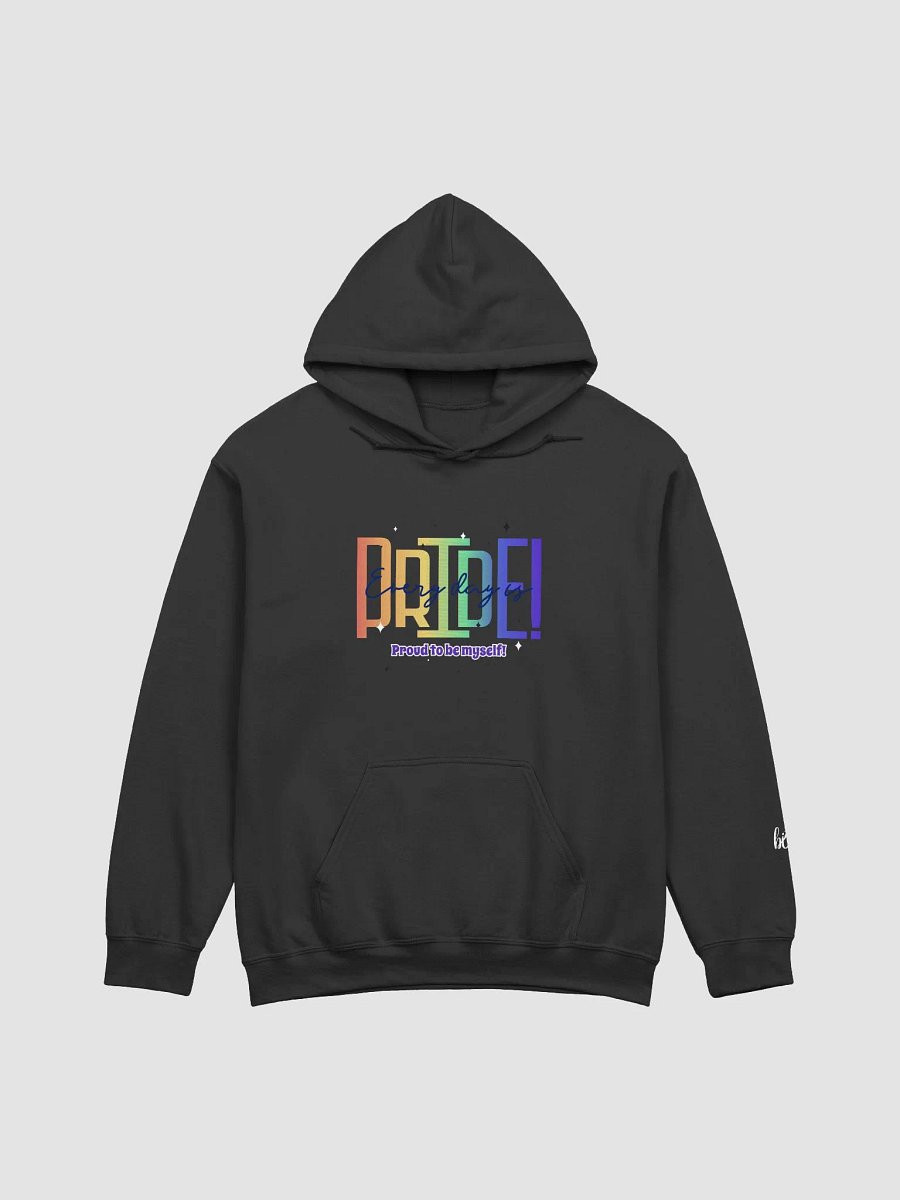 LGBT BIURBANSTYLE Classic Hoodie product image (3)