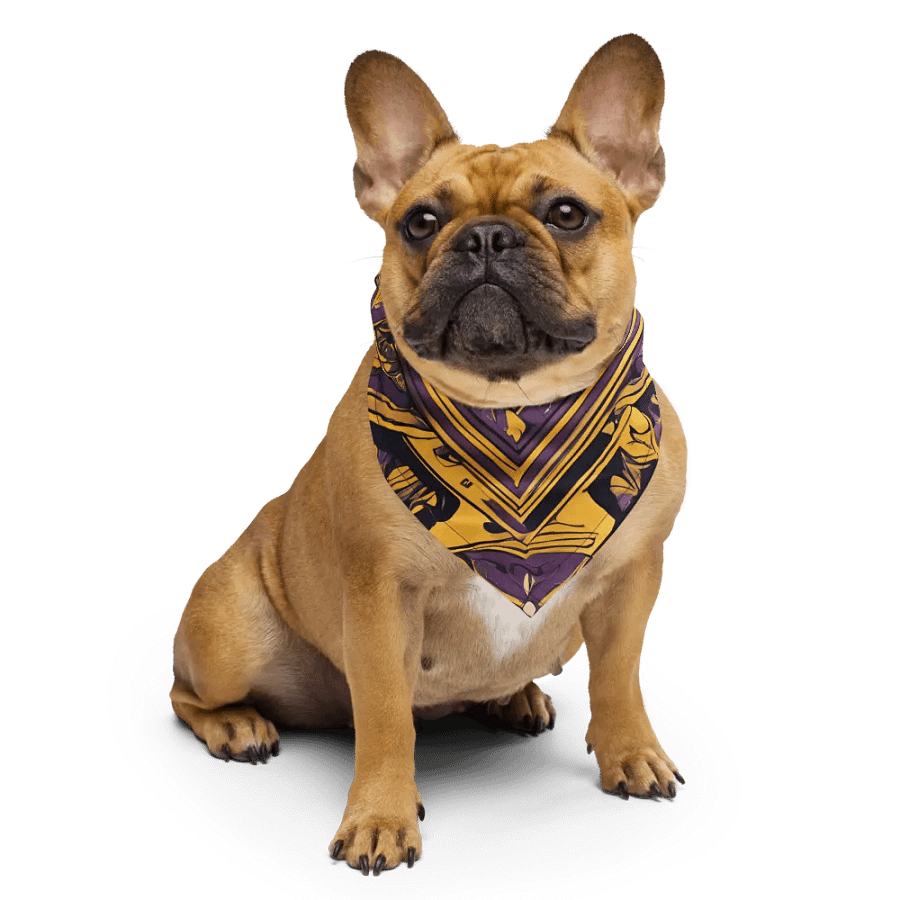 Kaleidoscope Bandana product image (4)
