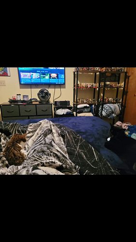 My relaxing buddies.