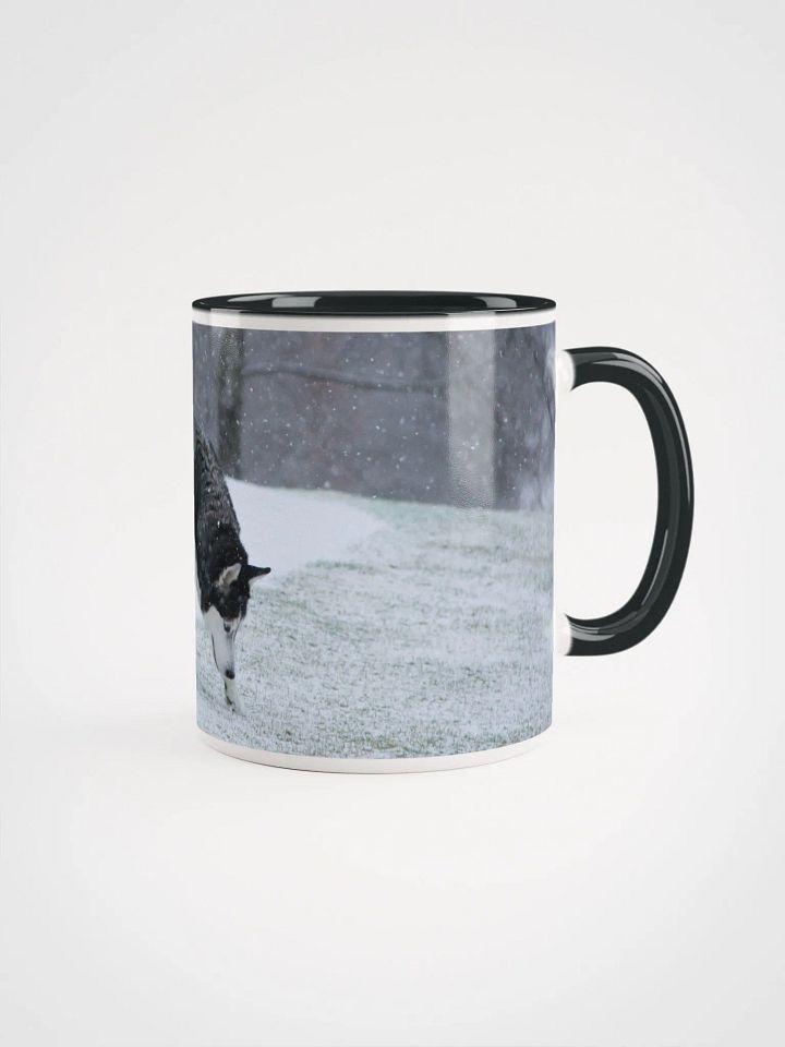 Blue Eye Siberian Husky in the Snow with Trees in the background product image (2)