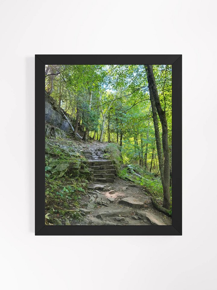 Enchanted Forest Pathway Matte Poster product image (1)