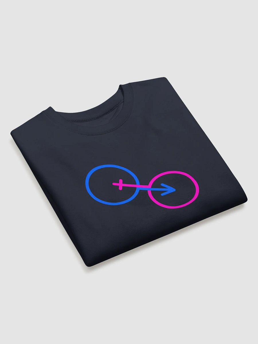 Connected Male & Female Premium Sweatshirt product image (3)