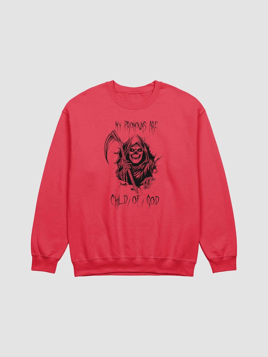 Pronouns sweatshirt product image (4)