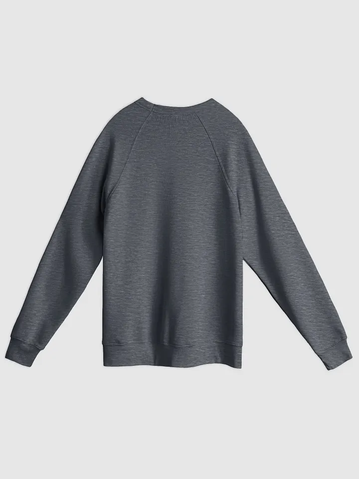 In My Head (lined design) Sponge Fleece Raglan Sweatshirt product image (6)