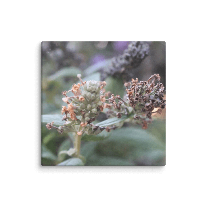 A Study in Flowers 2 product image (36)