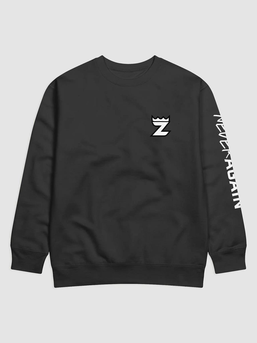 Never Again Sweatshirt - Black product image (1)