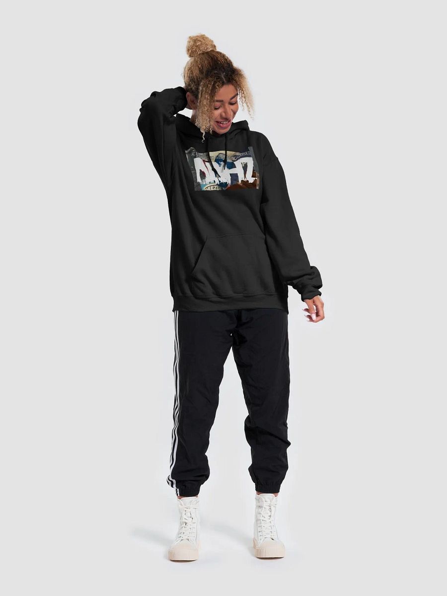 Certified Chaos Hoodie product image (9)