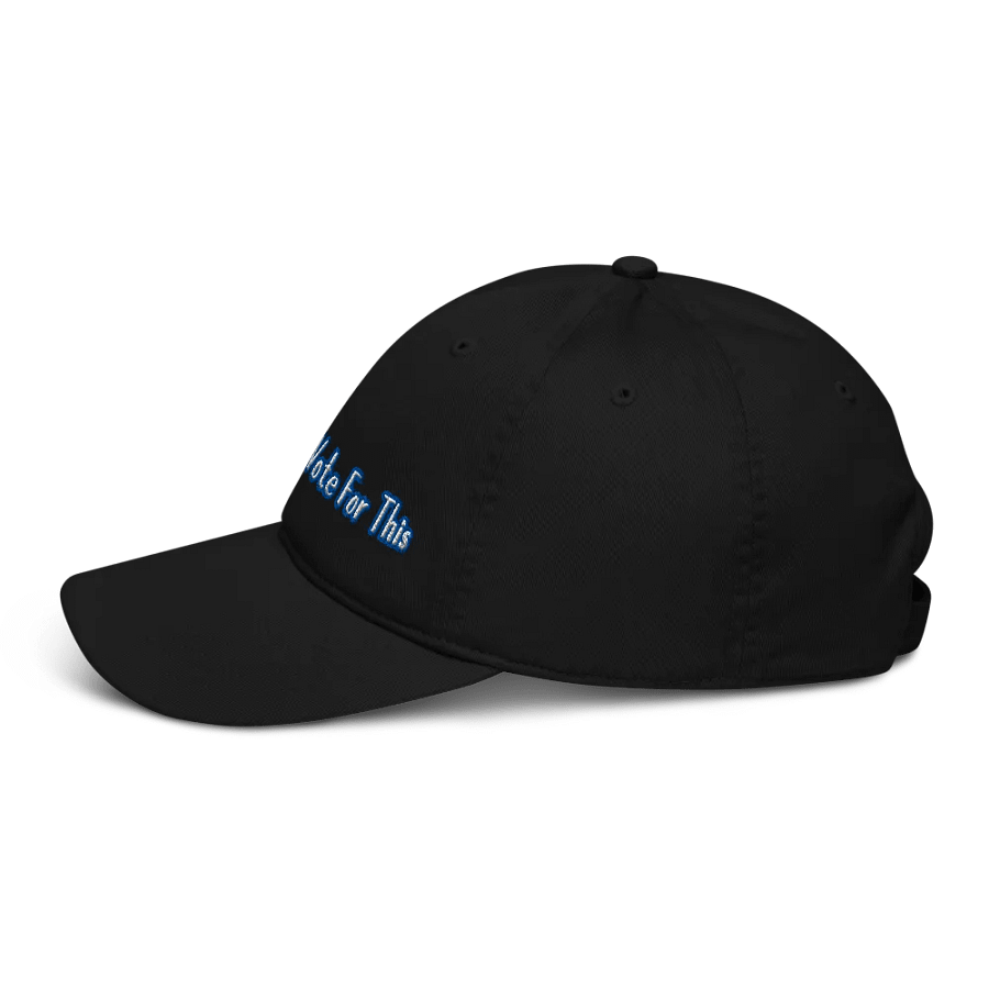 Resistor, I Didn't Fckn Vote for This (words only), NSFW Embroidered Hat product image (3)