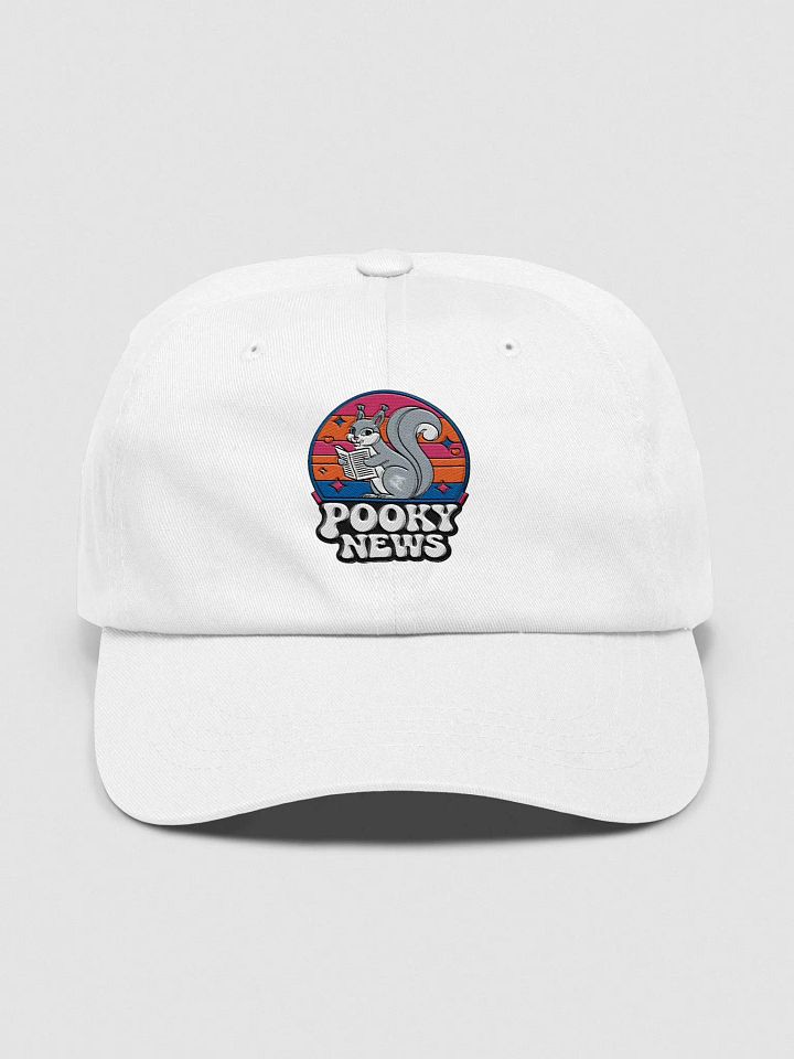 Baseball Hat Embroidered: Pooky News, circular background with pink sky product image (1)