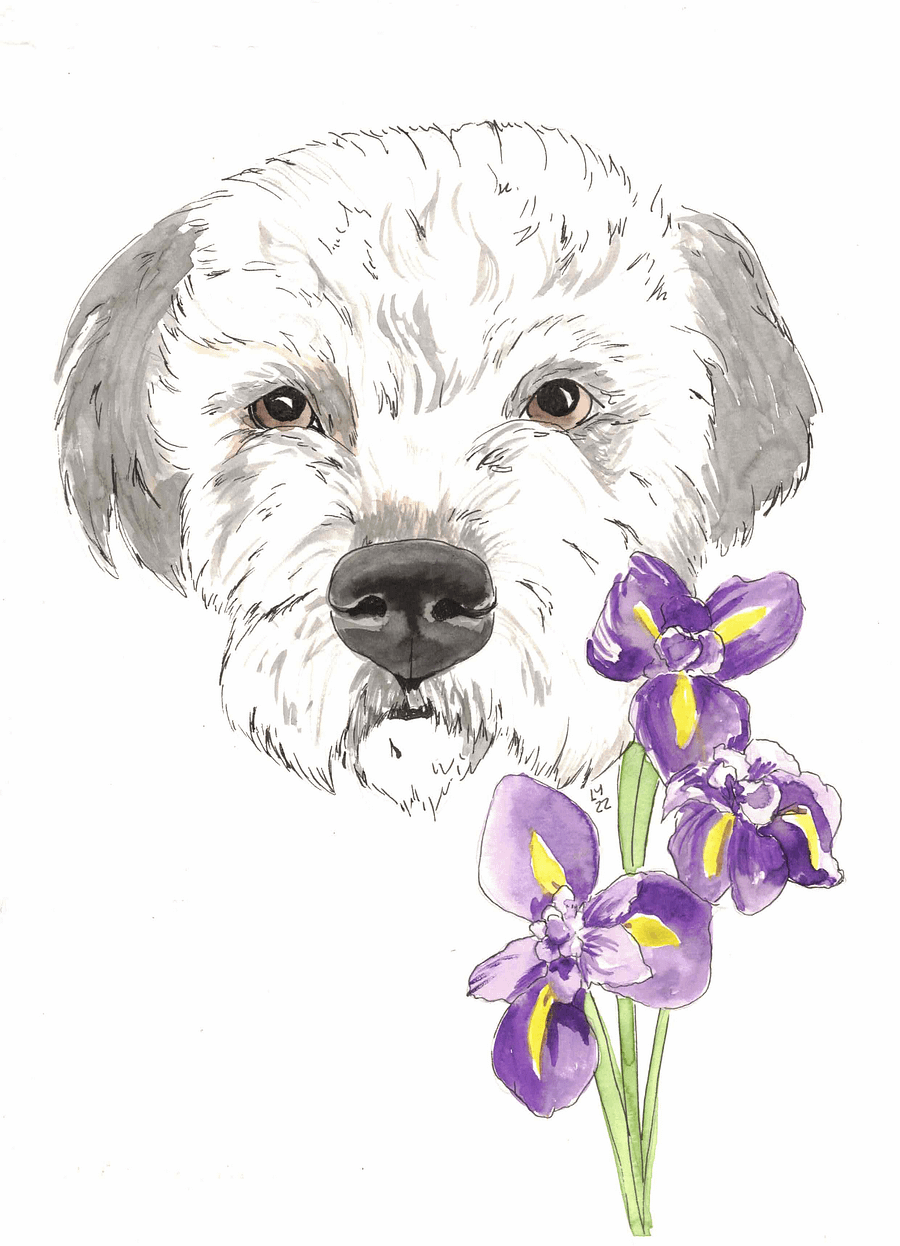 Best Friends coloring book product image (1)