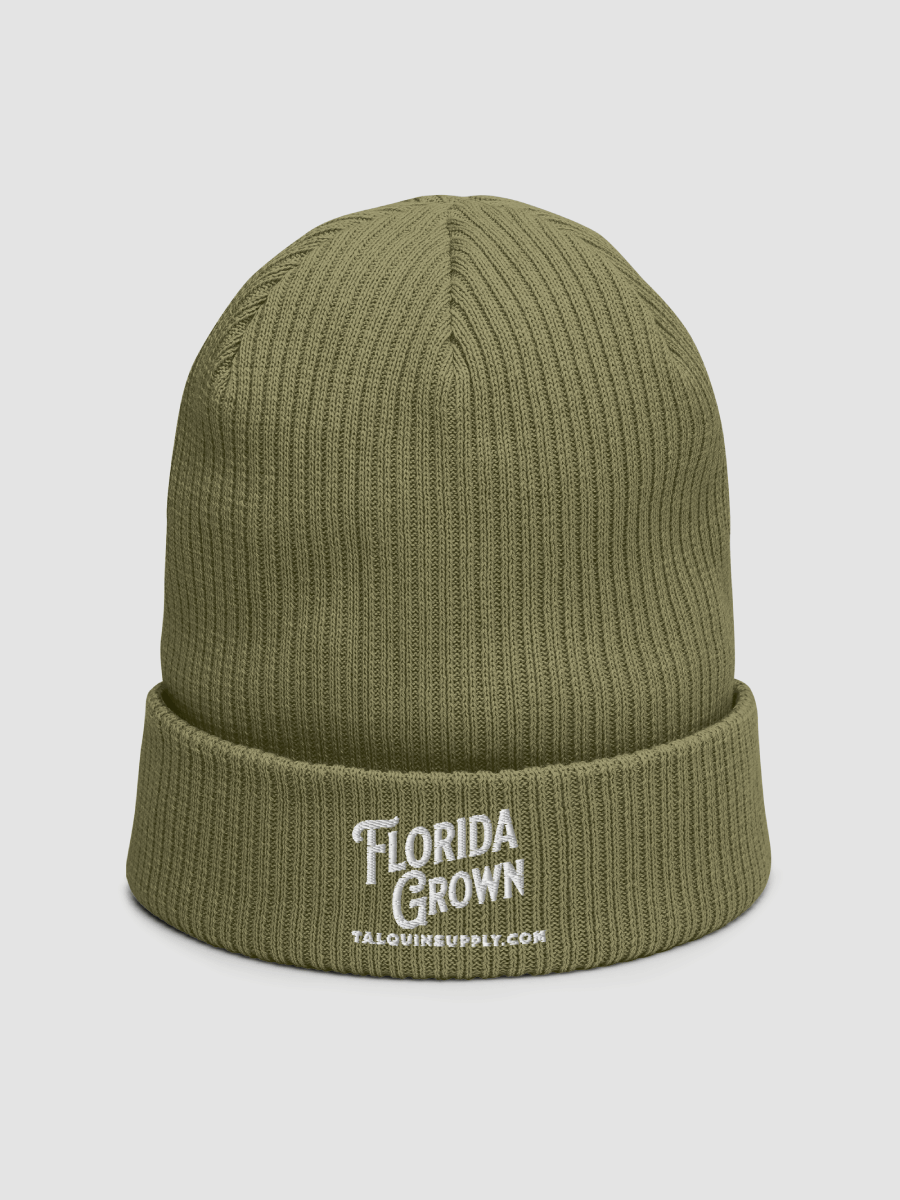 Talquin. Ribbed Beanie product image (1)