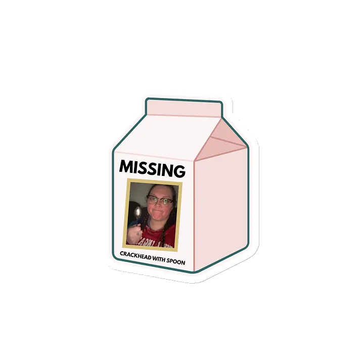 Missing Milk Carton Magnets product image (2)