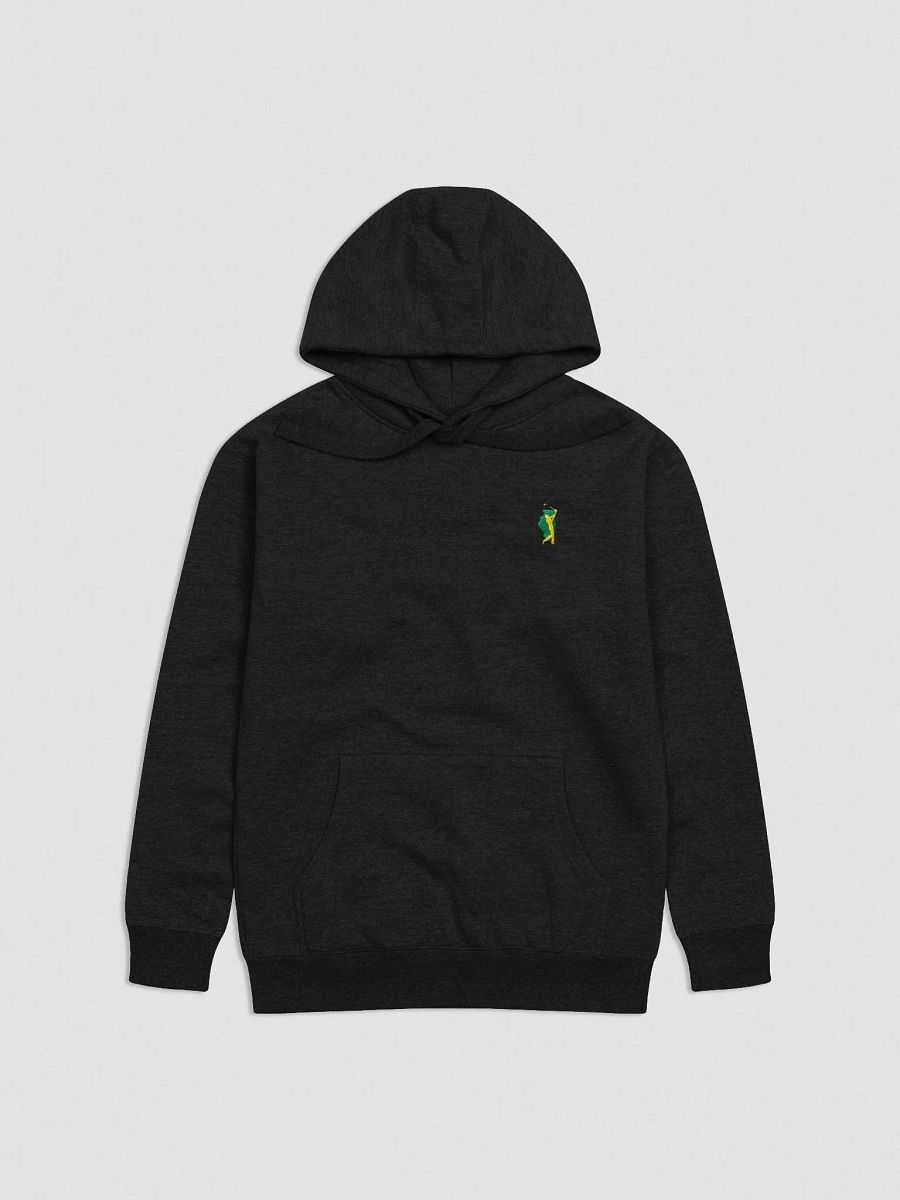 Less Expensive Hoodie product image (1)