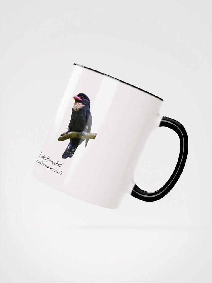 Dusky Broadbill product image (16)