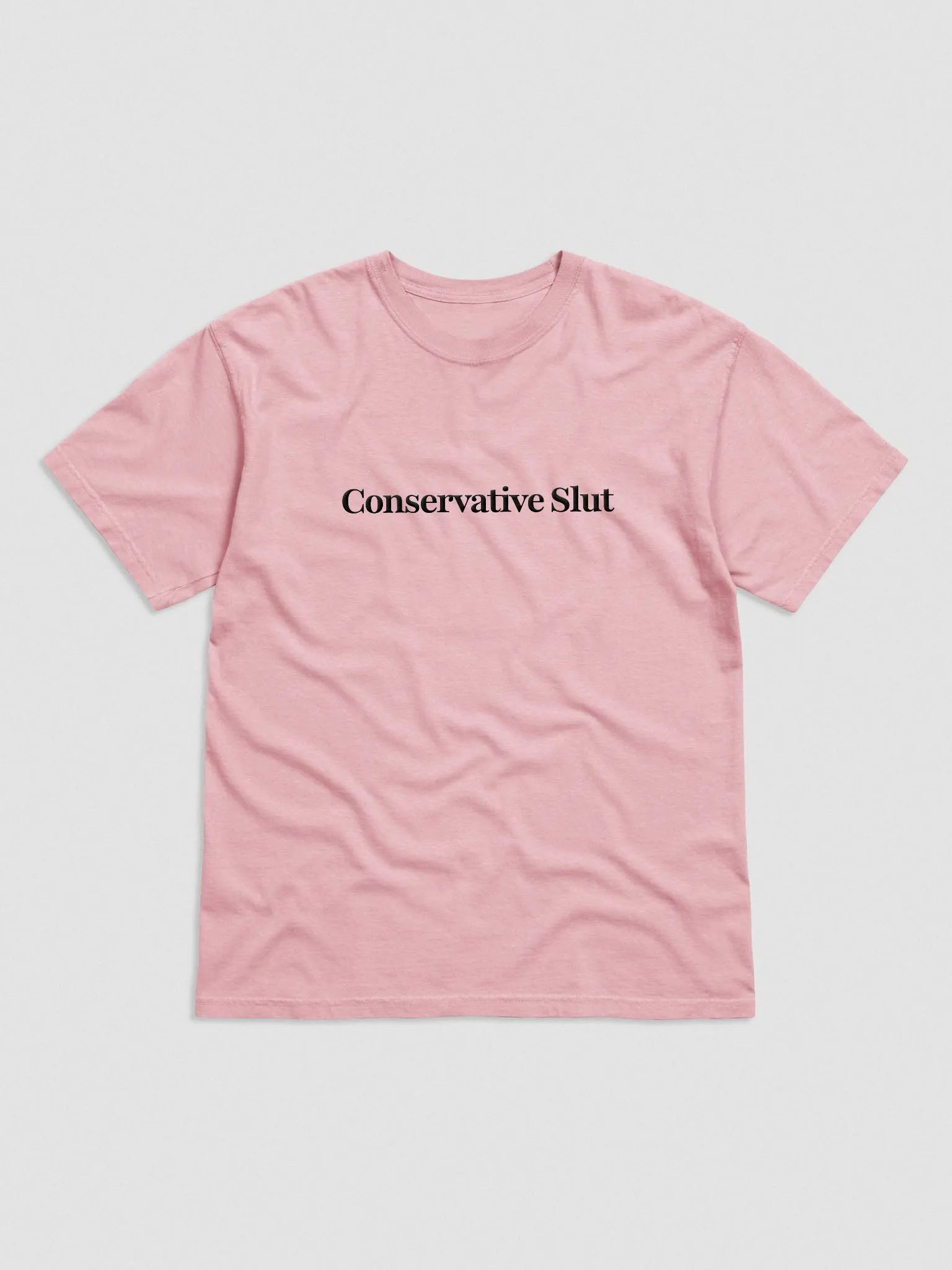 'Conservative Slut' Embroidered Tee product image (1)