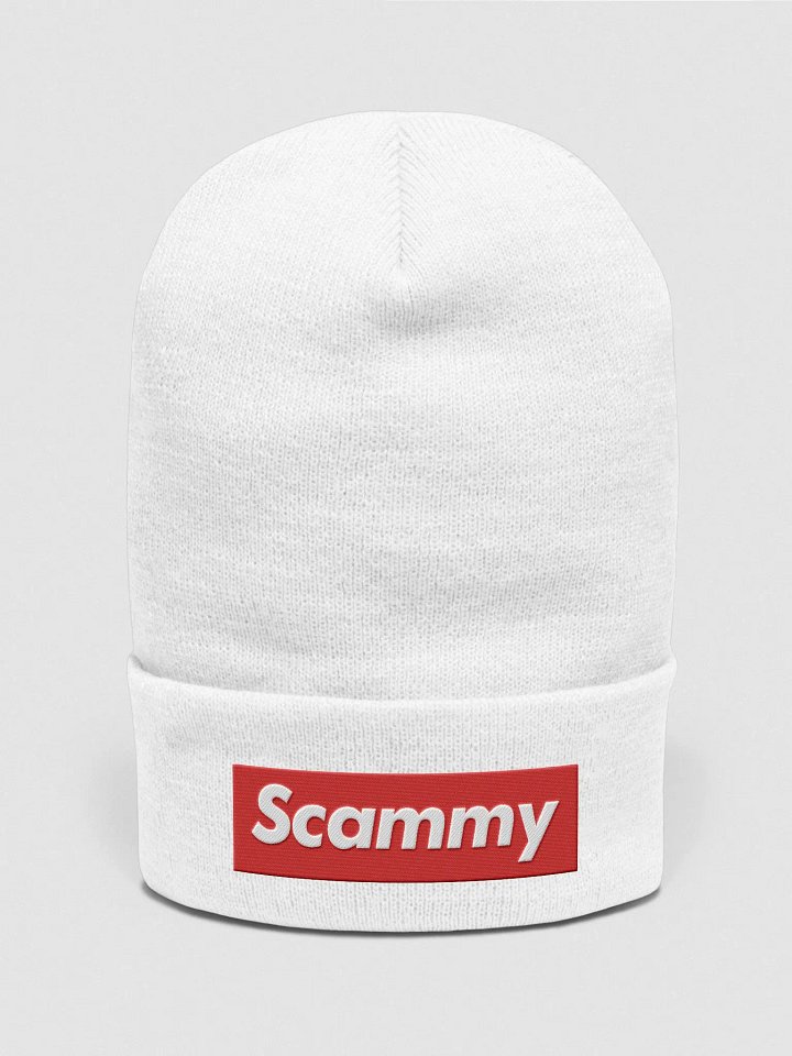 'Scammy' Beanie product image (1)