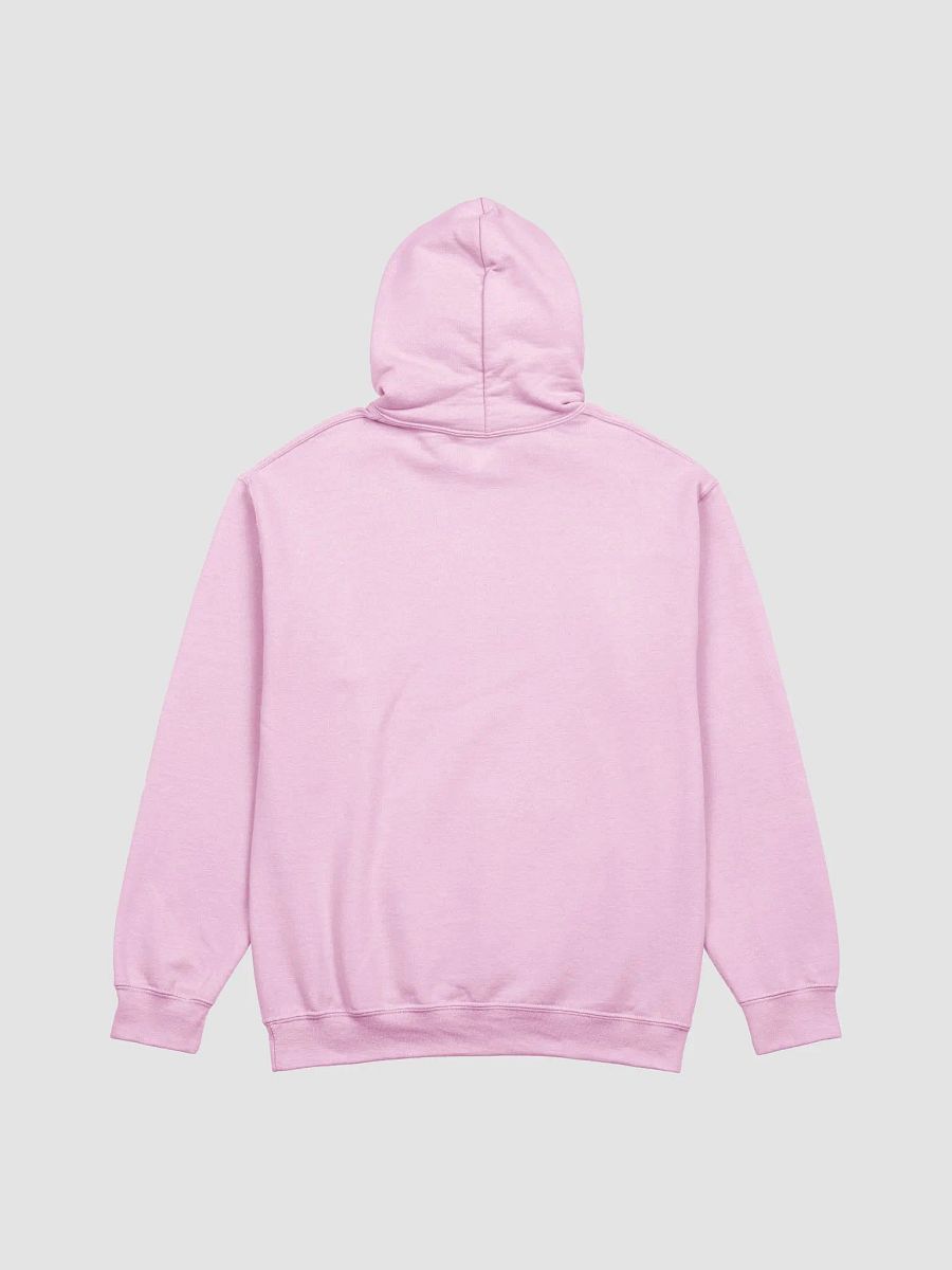 Day Well Spent Hoodie product image (17)