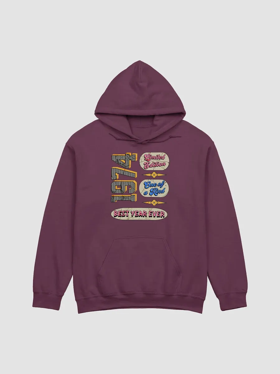 Limited Edition 1974 Retro Hoodie product image (9)