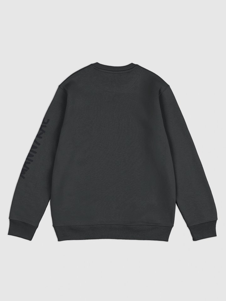 Panda Eco Sweater product image (6)