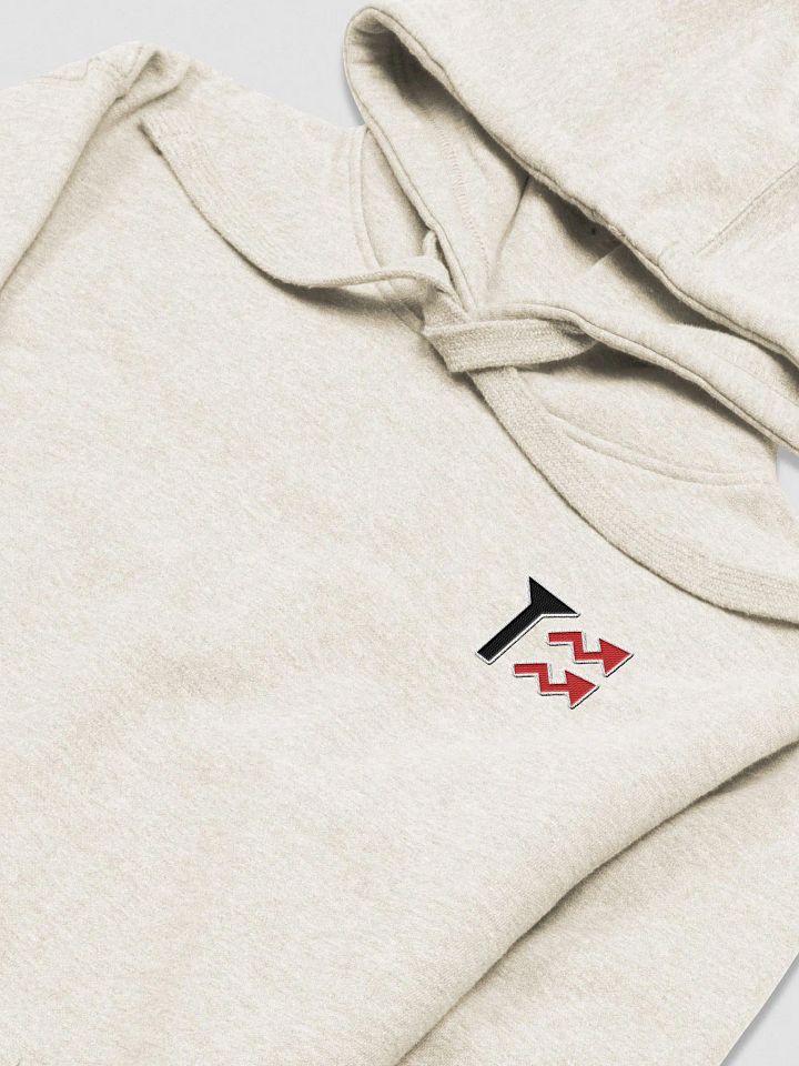 TX Hoodie product image (2)